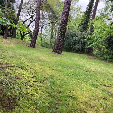 En Foret Dom wakacyjny Le Touquet