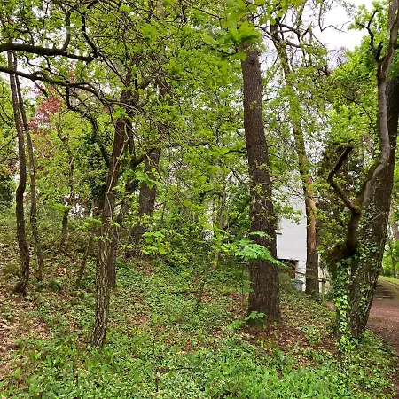 En Foret Dom wakacyjny Le Touquet