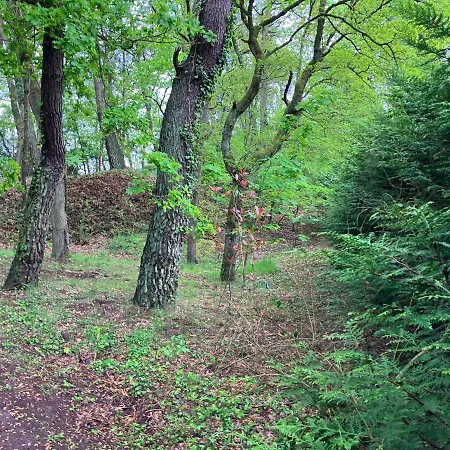 Dom wakacyjny En Foret