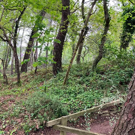 Dom wakacyjny En Foret