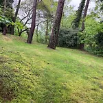 En Foret Hébergement de vacances Le Touquet-Paris-Plage