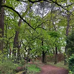 En Foret Le Touquet-Paris-Plage
