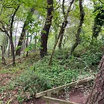Ferienhaus En Foret