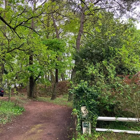 Casa vacanze En Foret