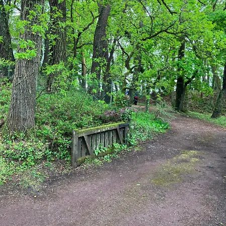 Casa vacanze En Foret *