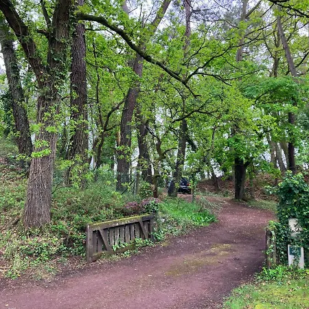 En Foret Сasa de vacaciones *