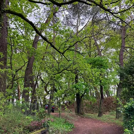En Foret Le Touquet