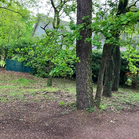 En Foret Сasa de vacaciones *