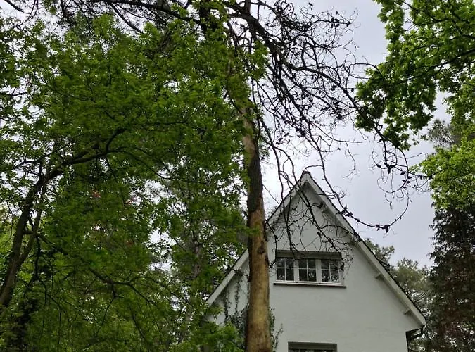 Holiday home En Foret Le Touquet