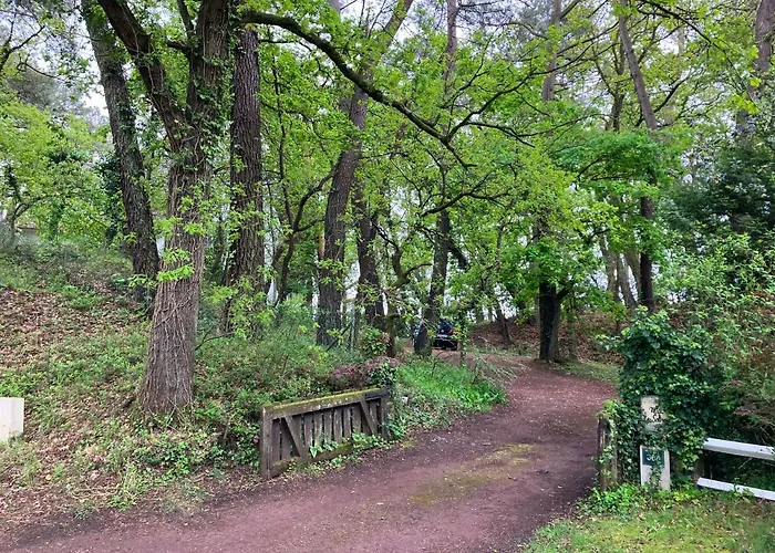 En Foret Holiday home *