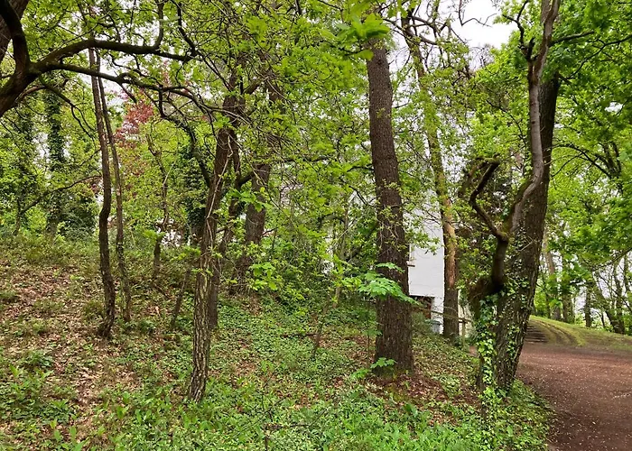 En Foret Holiday home Le Touquet