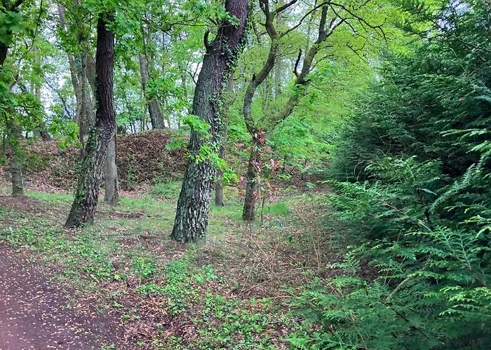 Holiday home En Foret