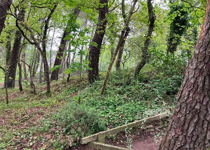 Holiday home En Foret